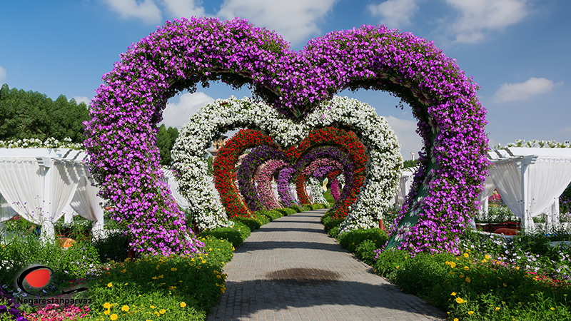 نحوه رزرو تور دبی لحظه آخری