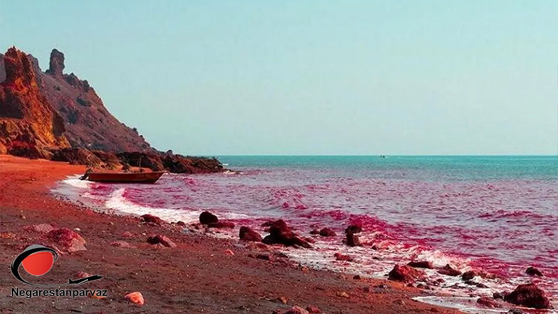 راهنمای سفر با تور قشم