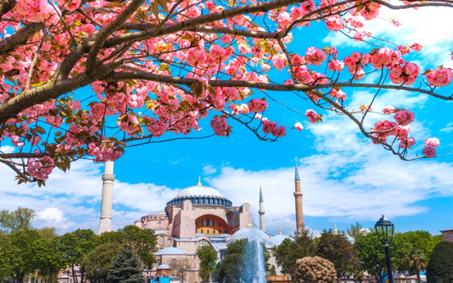 تور نوروزی 1403